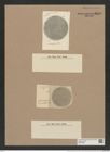 Coscinodiscus circumdatus A. Schm. (de-Toni-Nr.: Genus 202, Species 4883) Zeichnungen Sammlung Grunow Nr. 8640 (NHMW-BOT-W0378038)